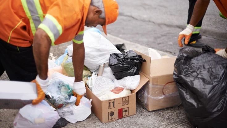 Yard Waste Removal